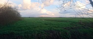 Weidegang en paddock